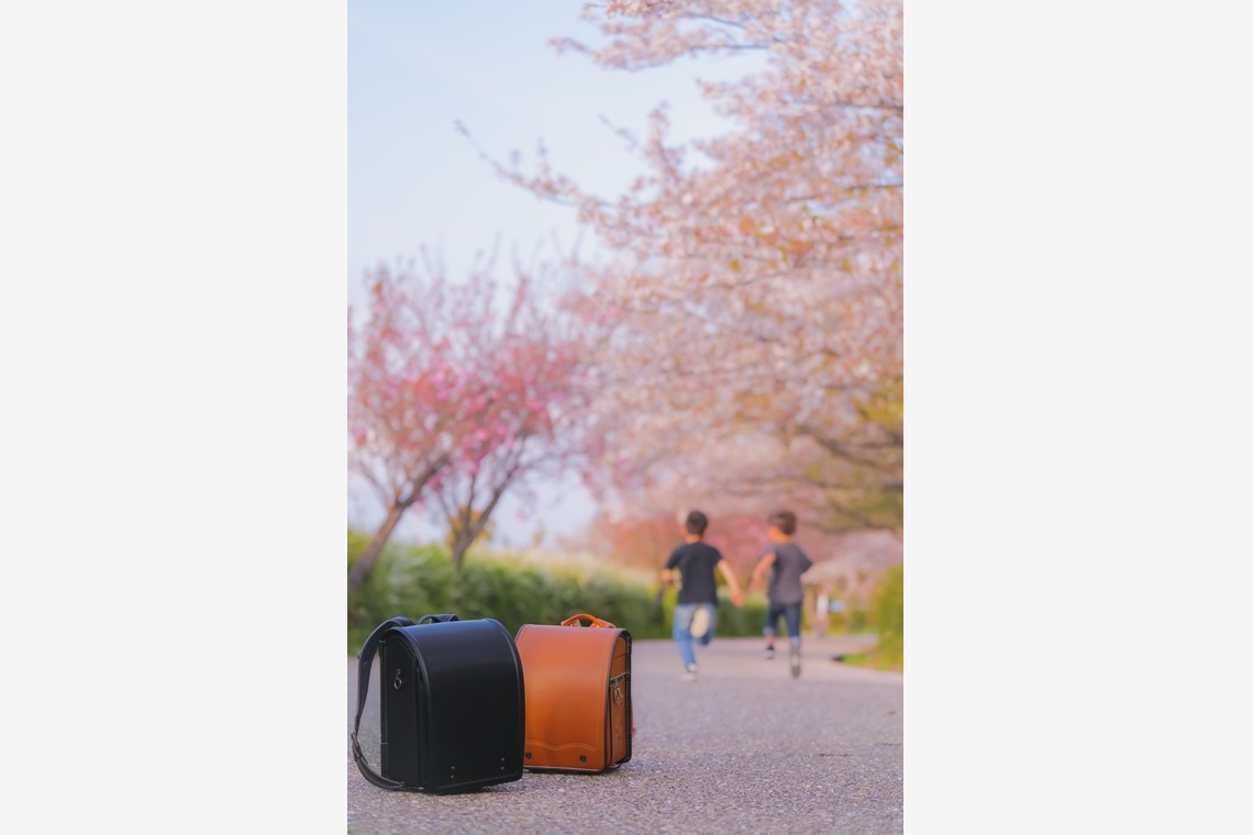 秋山諒輔が撮影した「お子様のロケーション撮影」の写真