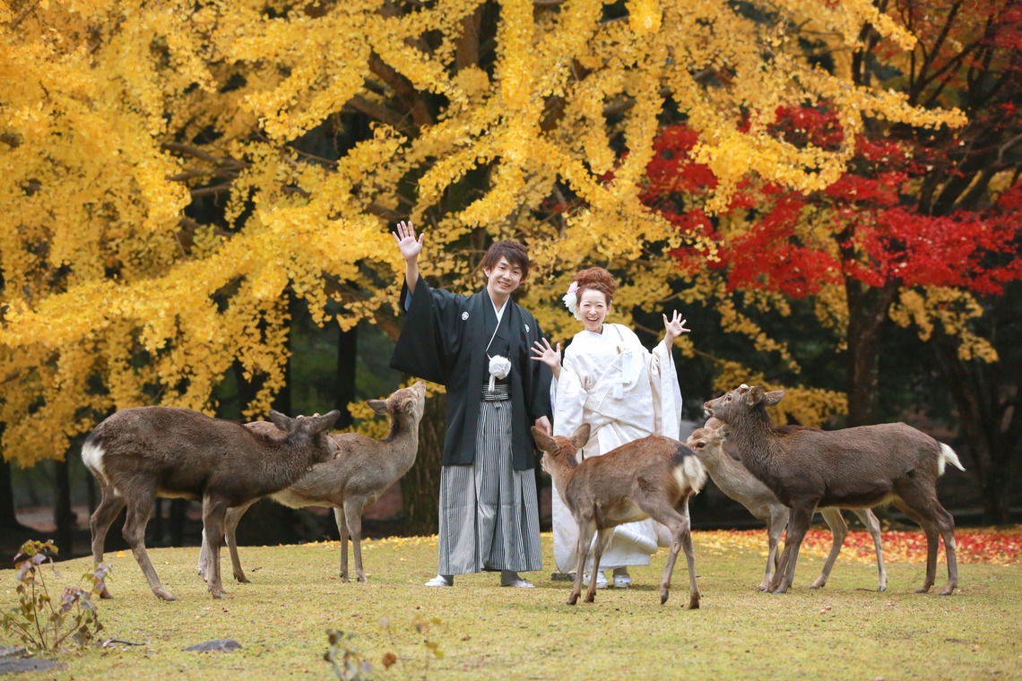 Hayashi Photo Worksが撮影した「奈良フォト」の写真