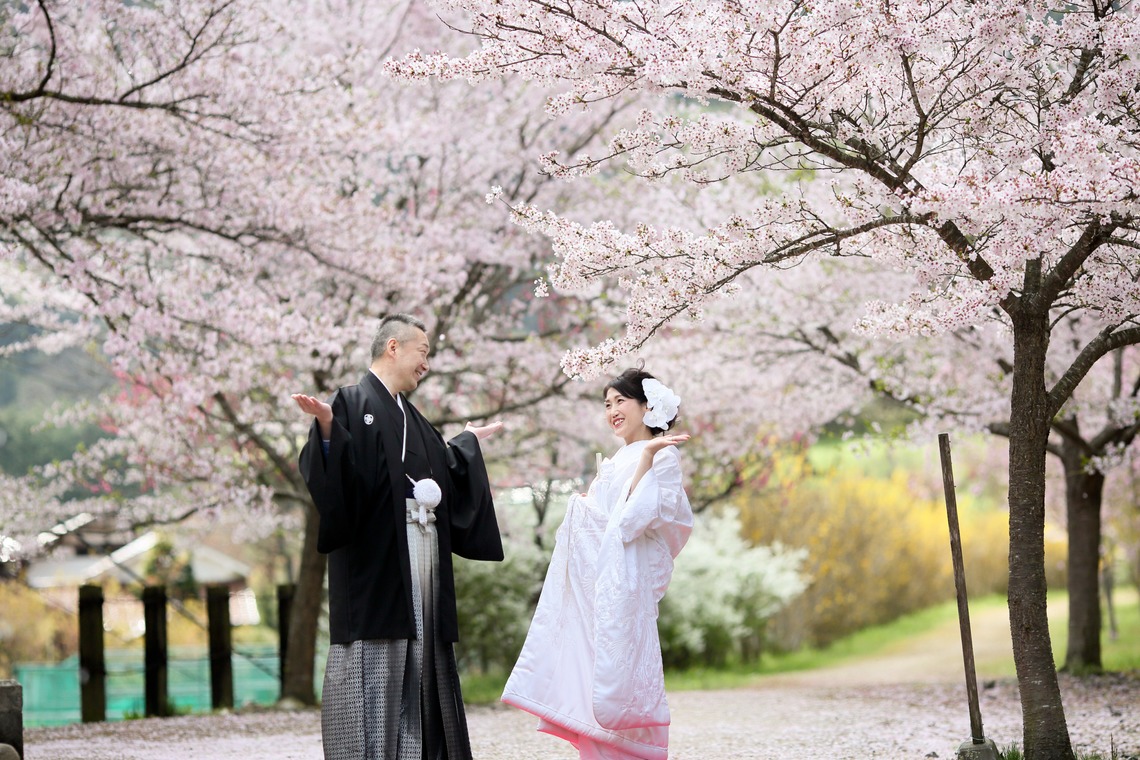 KIKIウェディングが撮影した「桜　桜　桜」の写真