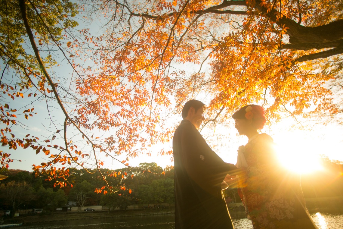 studio zeroが撮影した写真のアルバム「奈良」