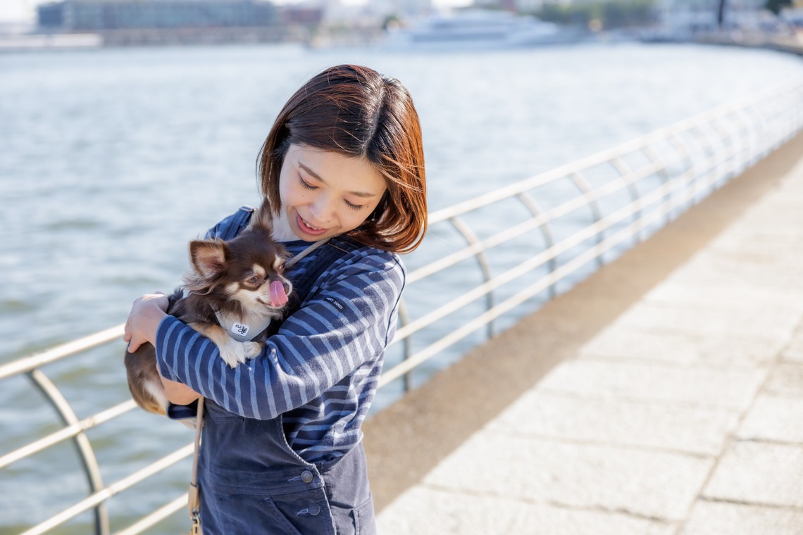 内田　雄一が撮影した写真のアルバム「DOGイベントでの撮影」