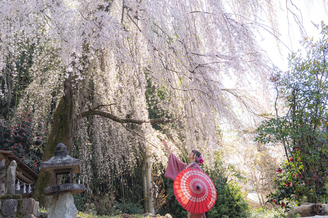村のくまが撮影した写真のアルバム「ポートレート」