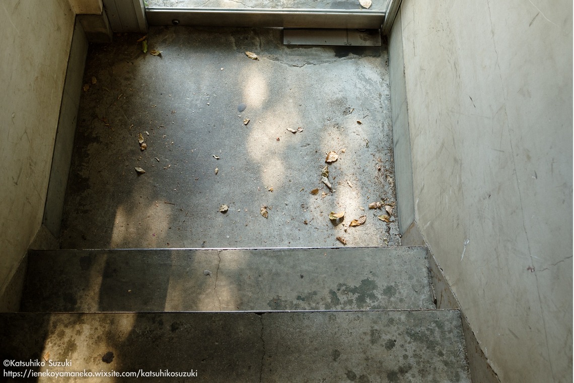 Katsuhiko Suzukiが撮影した写真のアルバム「Portfolio」