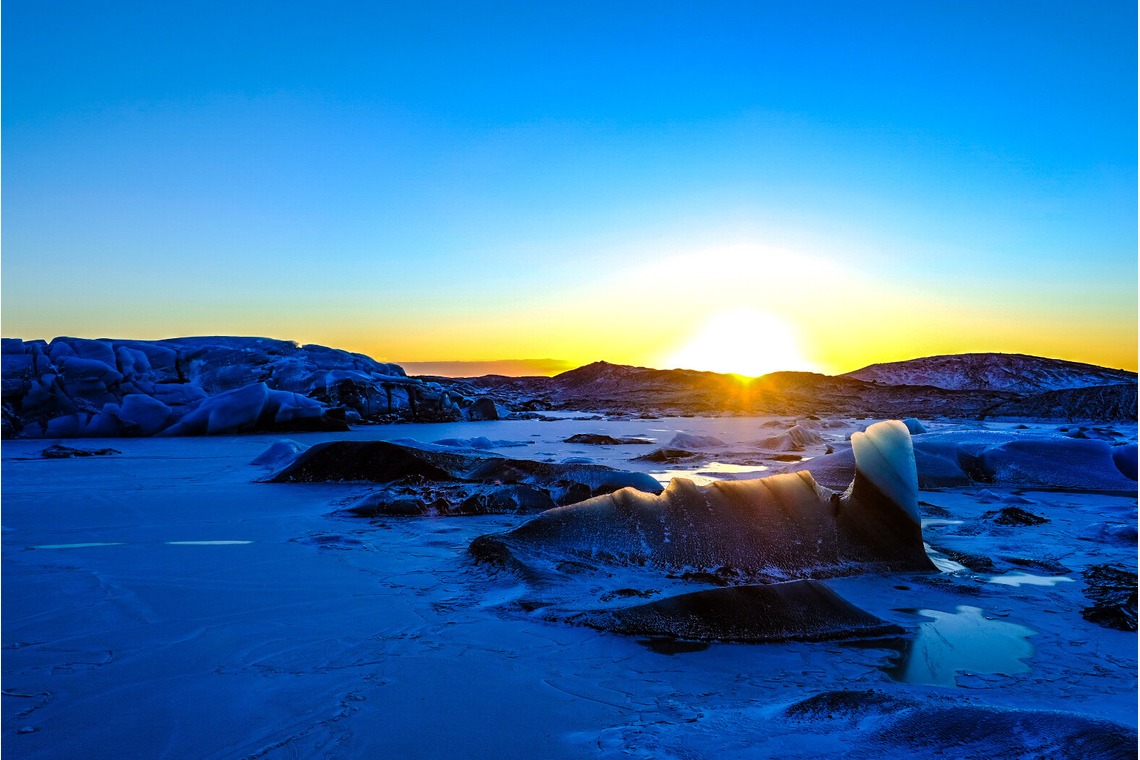 杉本 周平が撮影した「動物・ペット・風景」の写真