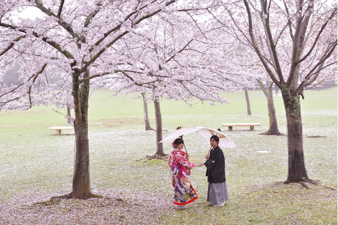 キキフォトワークスが撮影した「桜の季節の和装前撮り」の写真