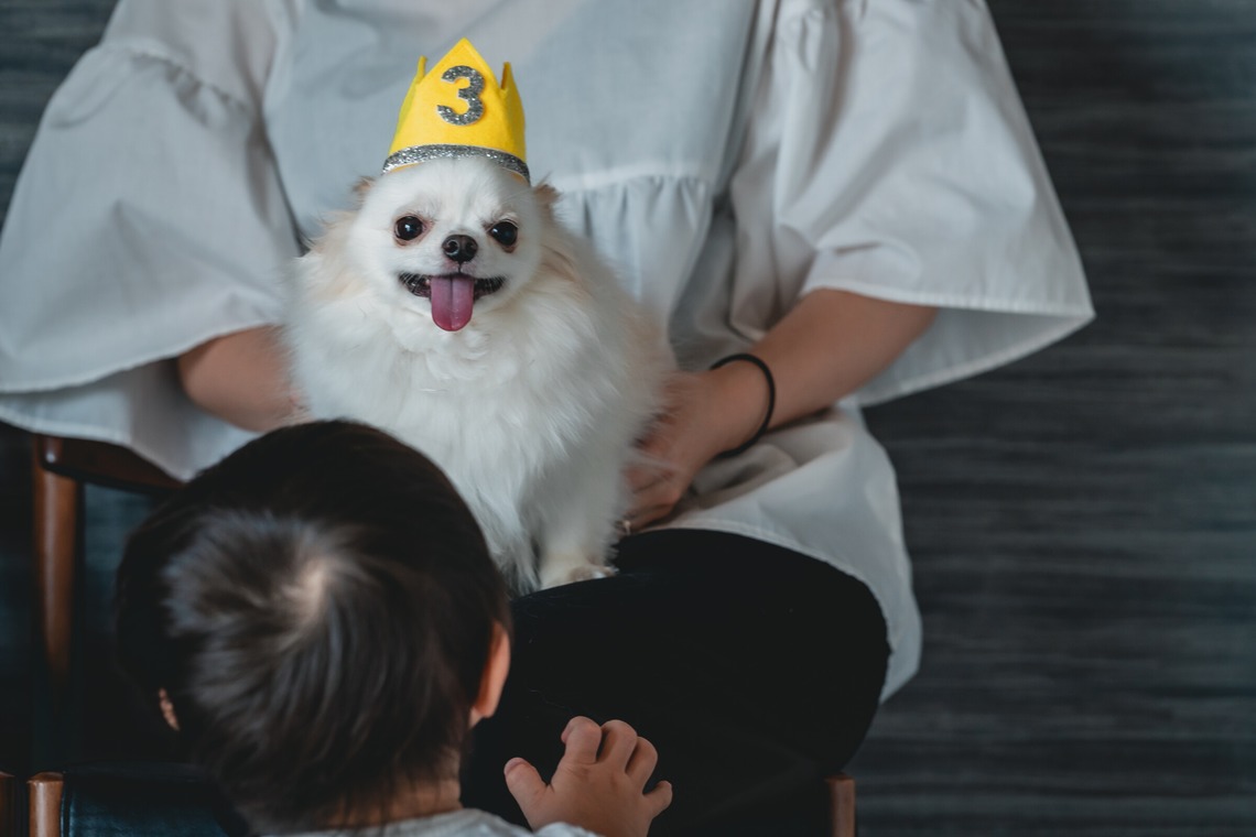 Tajimaが撮影した写真のアルバム「ペット」