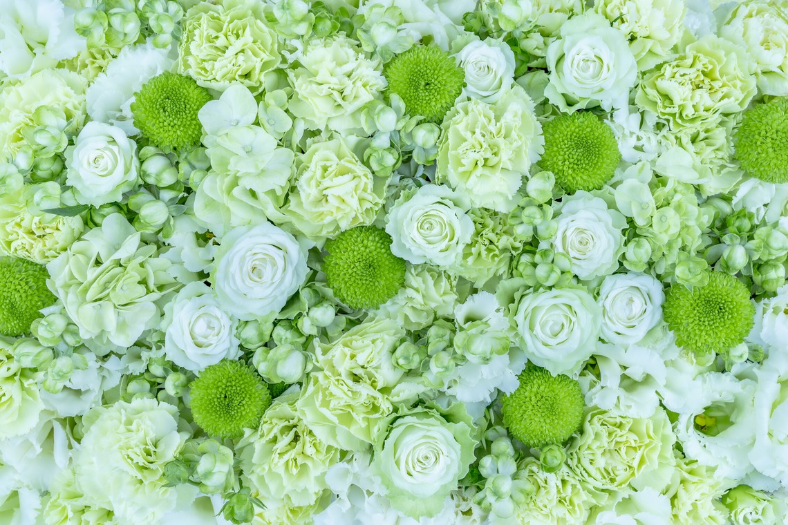 佐藤 葵が撮影した写真のアルバム「広報用商品撮影」