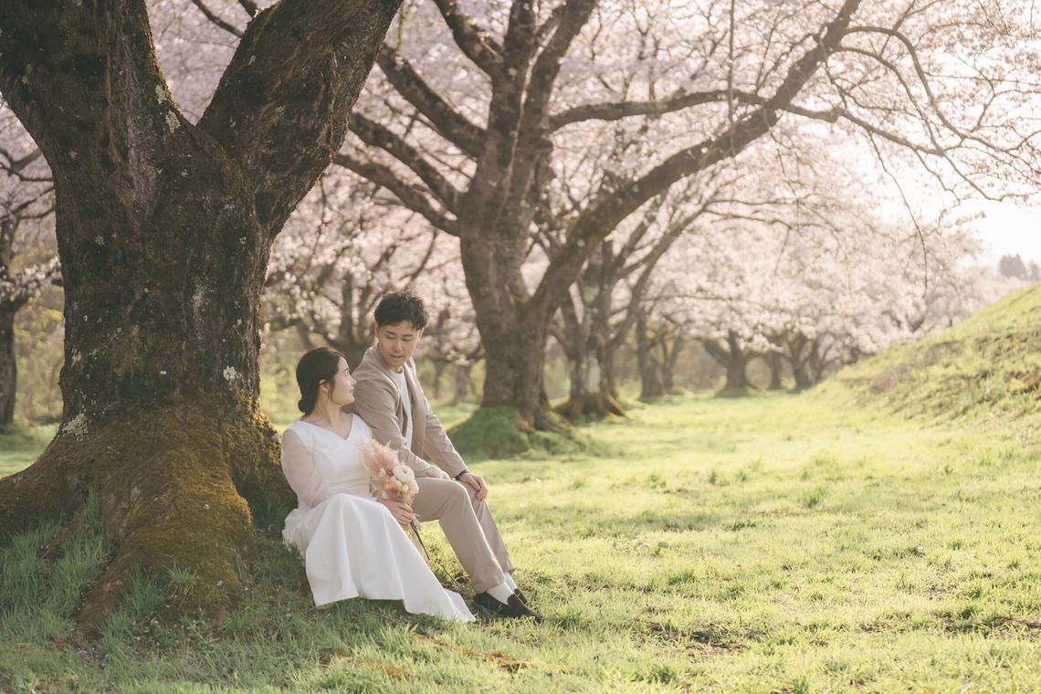 スタジオアルパルカが撮影した「春の前撮り写真」の写真