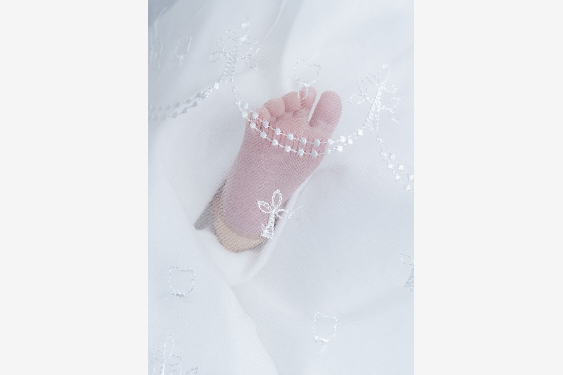 松野葉子が撮影した写真のアルバム「家族写真」