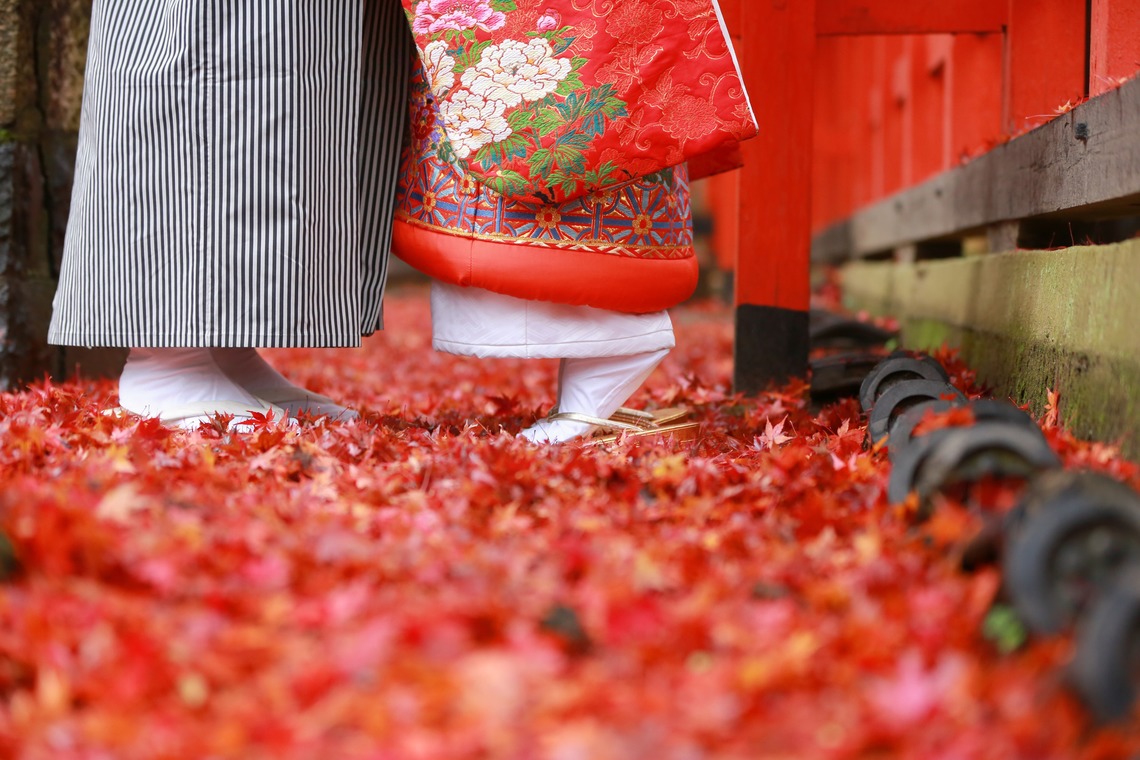 Photo of  taken by Hayashi Photo Works