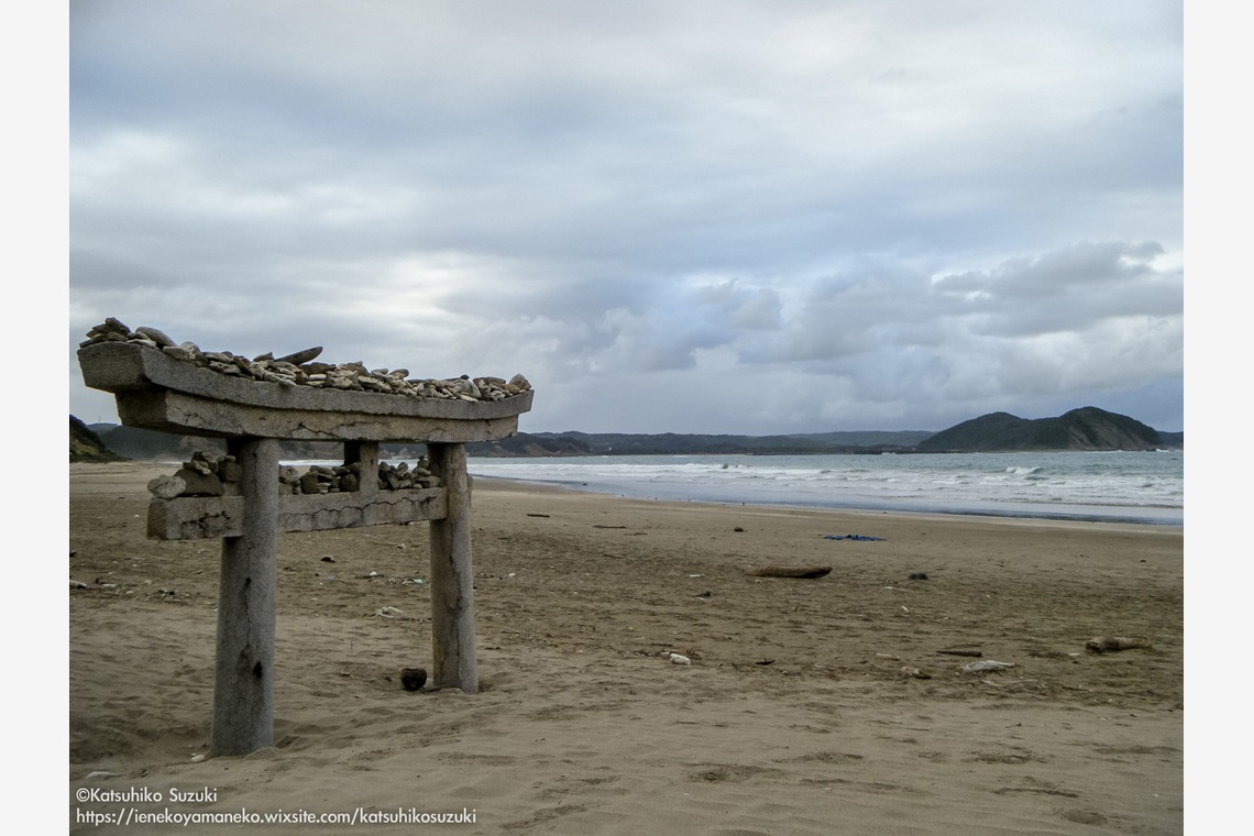 Katsuhiko Suzukiが撮影した「Portfolio」の写真