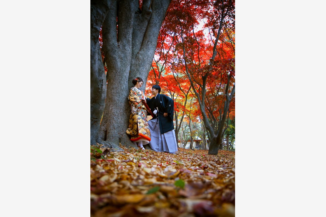 B'point photoが撮影した「フォトギャラリー」の写真