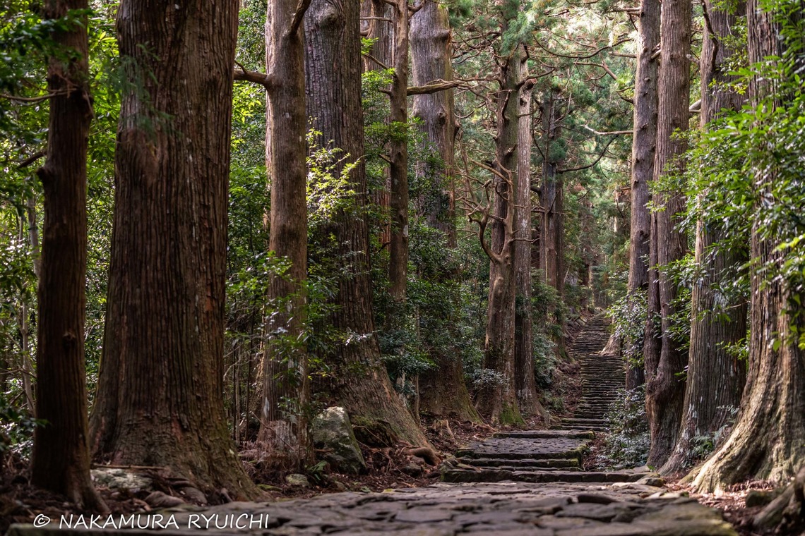 なかむーフォトが撮影した「風景」の写真