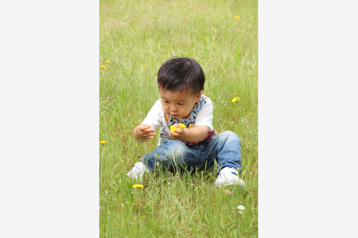 長谷川　光則が撮影した「イメージ」の写真