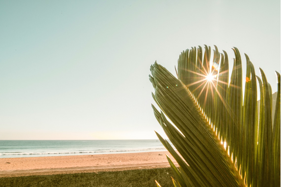 Aoshima Photographyが撮影した「Black Fly's Sunglasses」の写真