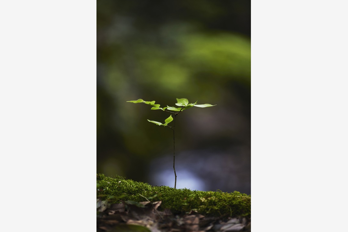 kiharu&photoが撮影した写真のアルバム「風景【ロケ撮影】」