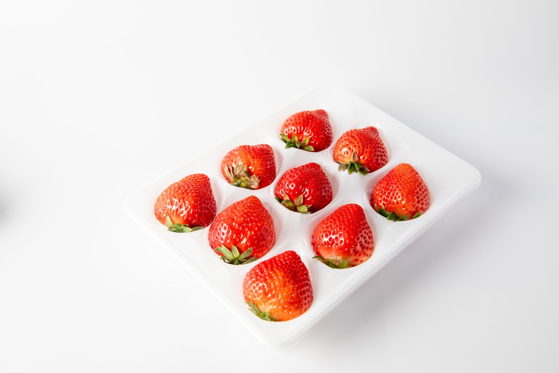 岩坪眞一郎が撮影した写真のアルバム「商品または作品」