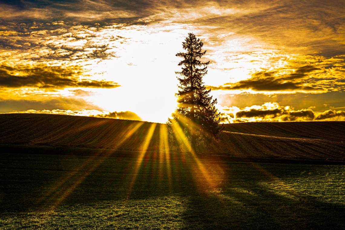 高木勇斗が撮影した「風景　物撮り」の写真