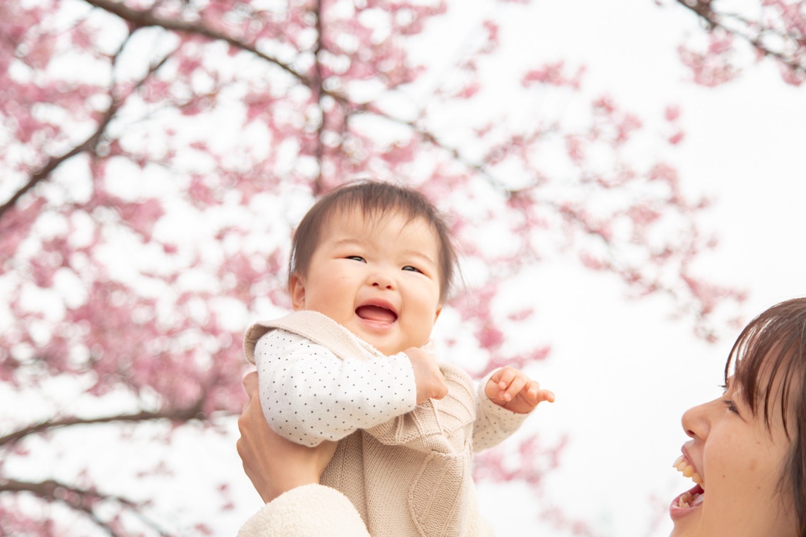 ゆのみふぉとが撮影した家族写真の出張撮影のアルバム「桜とお写真」