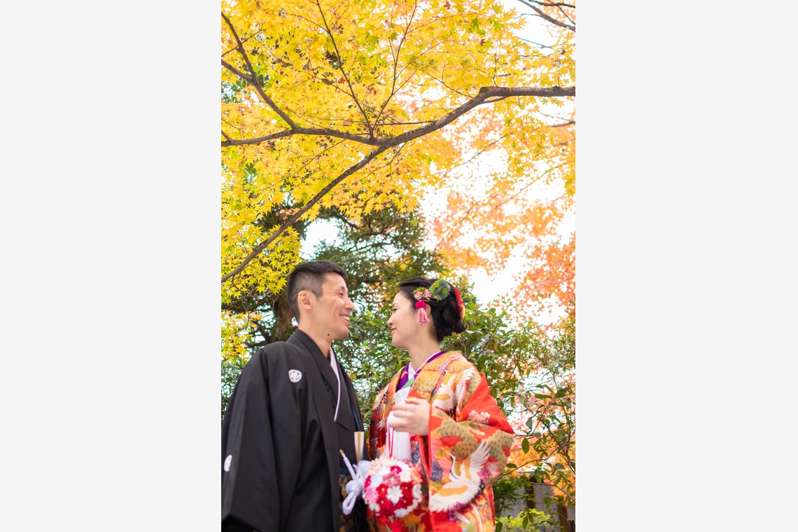 saruco(岩崎寿）が撮影した写真のアルバム「秋の和装前撮り」