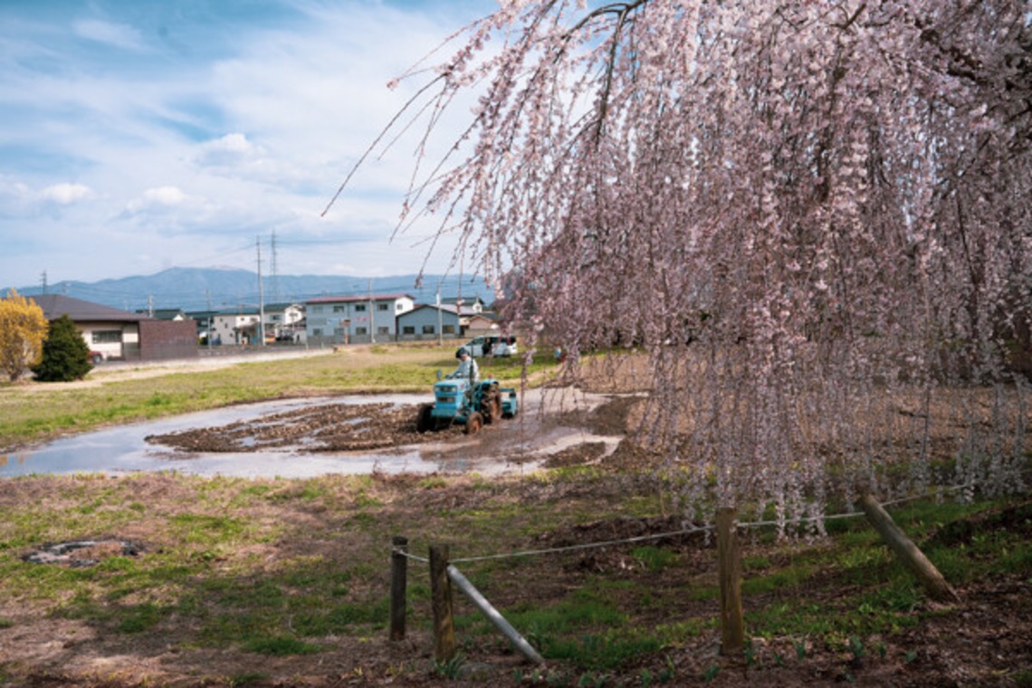 手塚隆弘が撮影した「気ままに」の写真