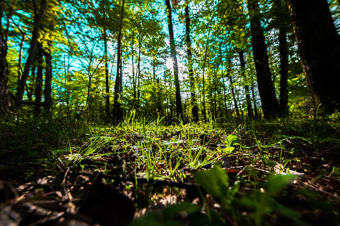 高木勇斗が撮影した「風景　物撮り」の写真