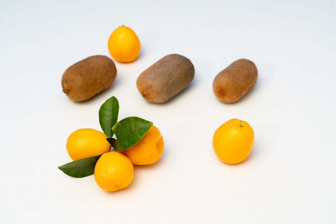 荻原　祐之が撮影した写真のアルバム「フルーツ」