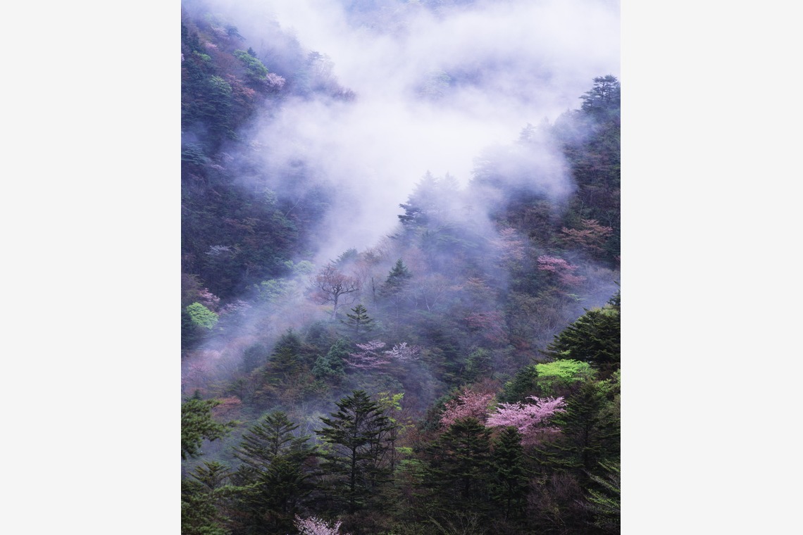 kiharu&photoが撮影した「風景【ロケ撮影】」の写真