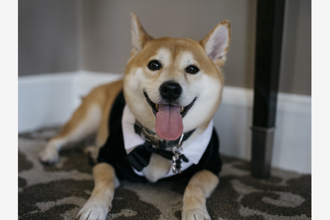 植村由理が撮影した「パトリシアとブレットの結婚式当日」の写真