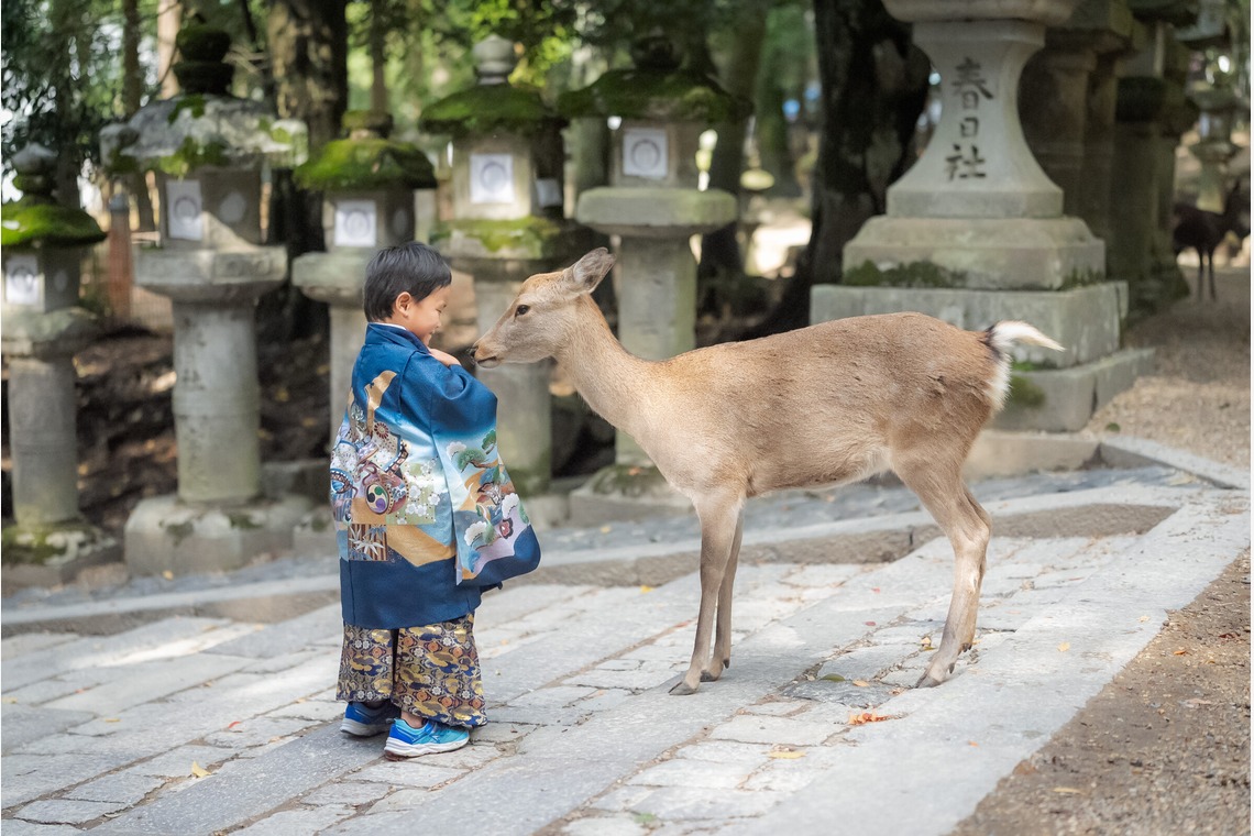 杉浦 倫和が撮影した「七五三」の写真