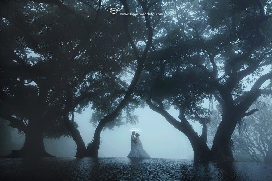 Trust photoが撮影した写真のアルバム「台北市周辺の美しい場所」