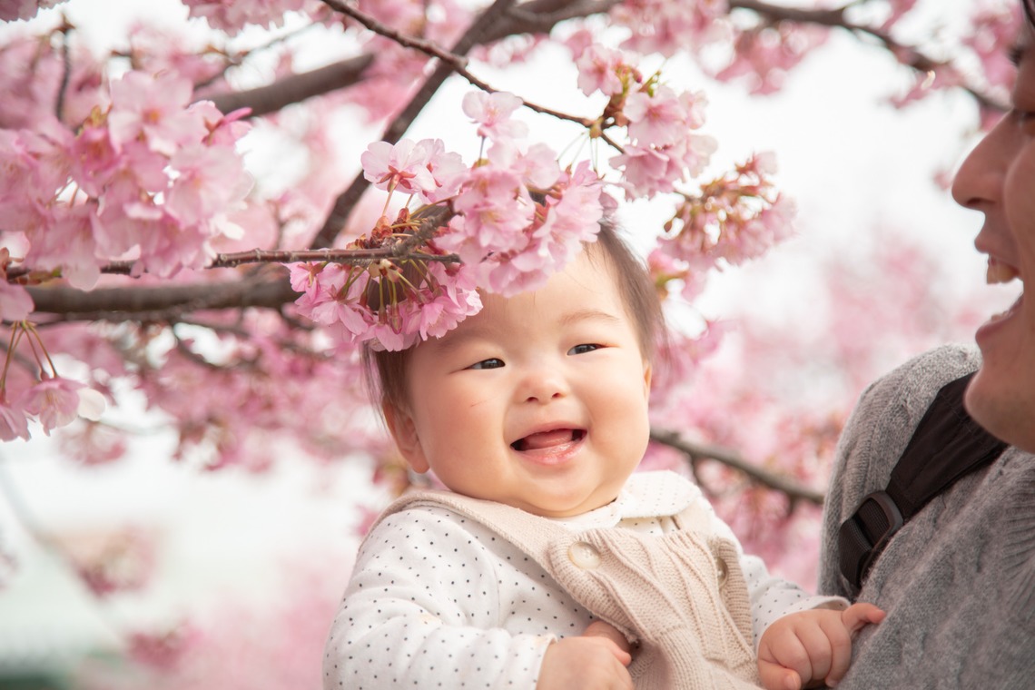 ゆのみふぉとが撮影した家族写真の出張撮影のアルバム「桜とお写真」