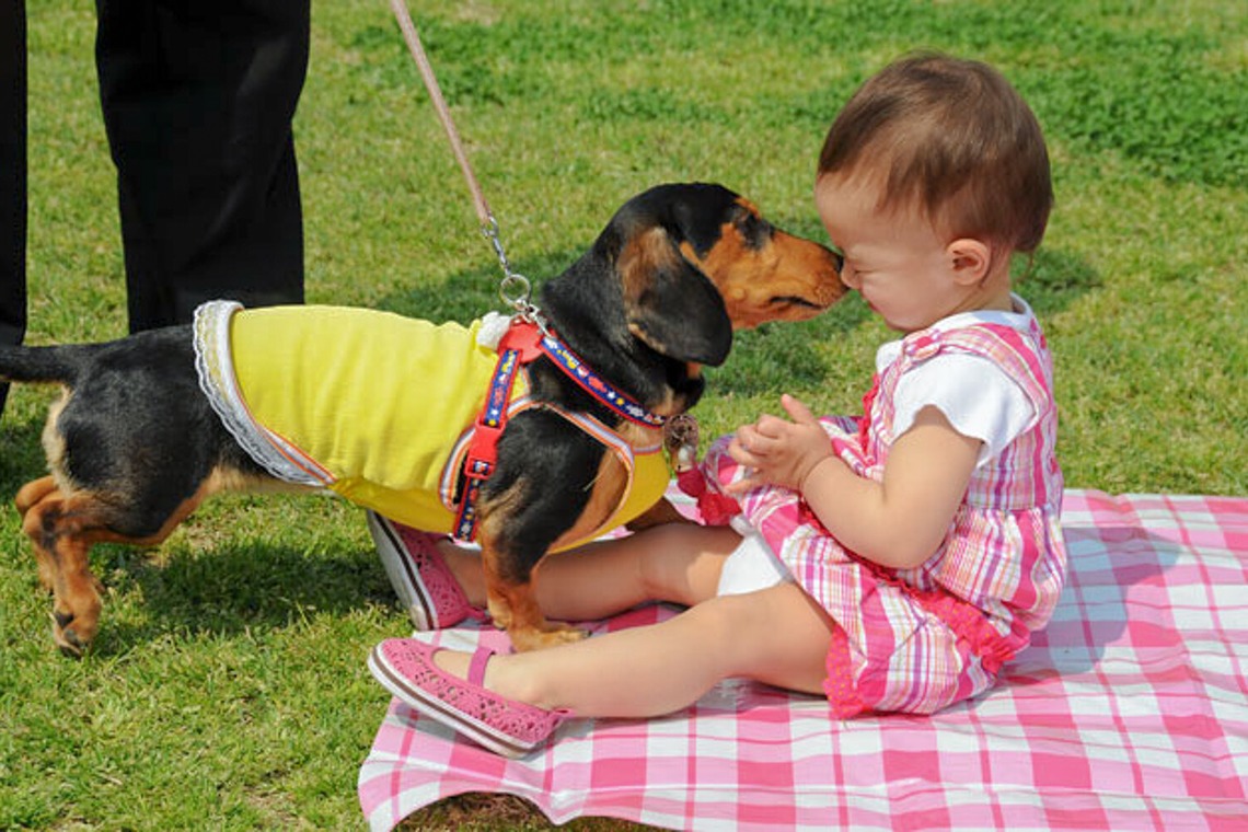（有）カラーフィールドが撮影した「ポートレート」の写真