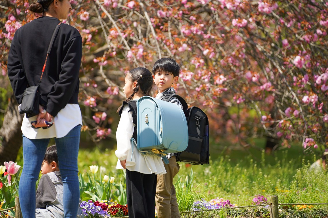 スタジオ　まるが撮影した写真のアルバム「小学1年生進級フォト」