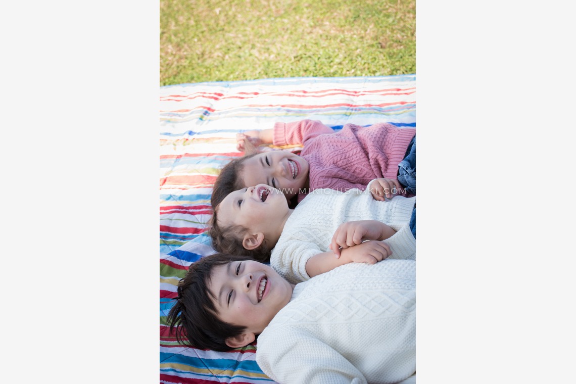 MC-photoが撮影した写真のアルバム「2016_Nov_江戸川区」