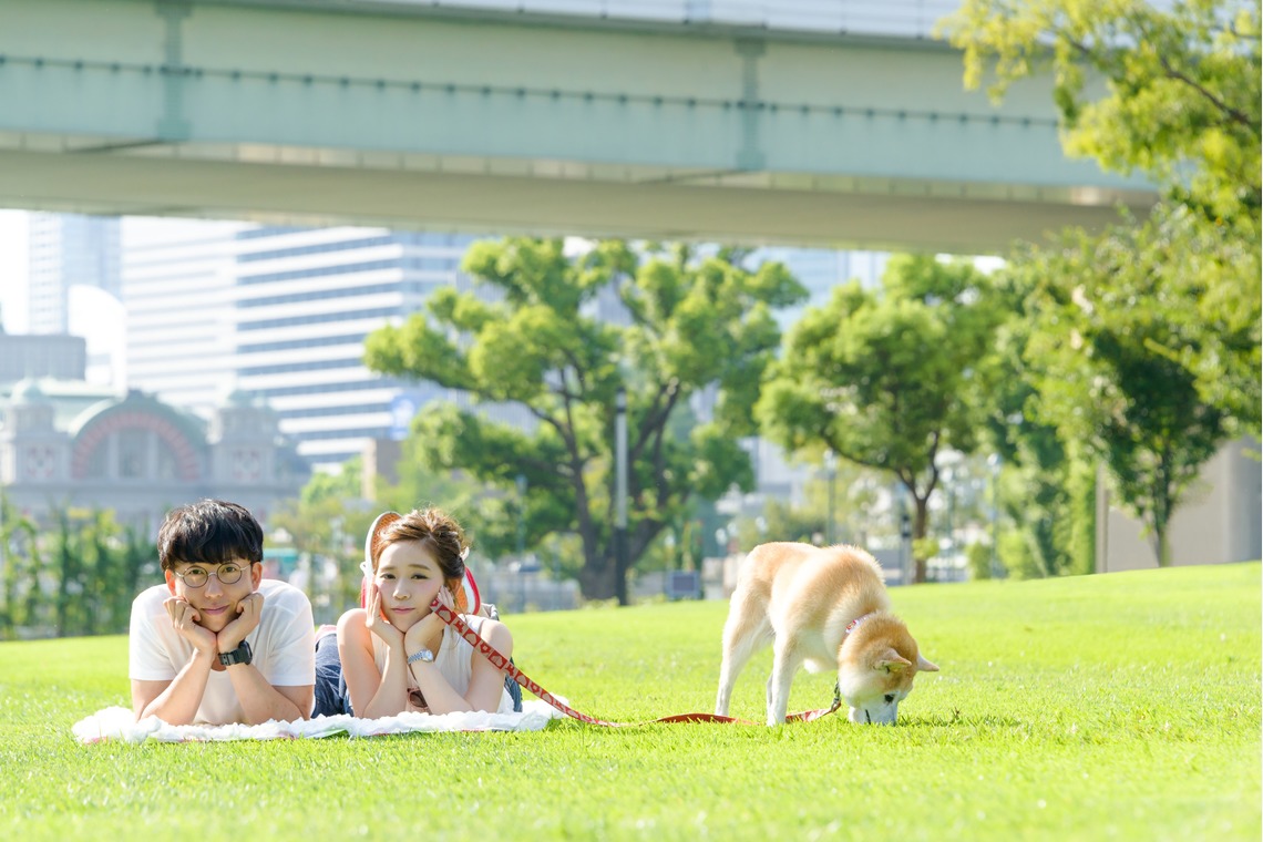 ライトハウスフォトが撮影した「フォトギャラリー」の写真