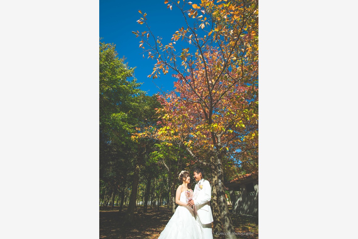 U-CONCENT (香川裕貴)が撮影した写真のアルバム「ドレスロケーション前撮り_しあわせの村、北野異人館」