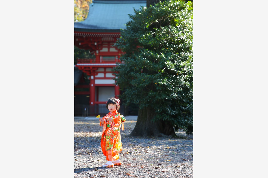 KOMOREBI Photo.　大如　耕平が出張撮影した家族写真(キッズ,ベビーフォト)などが写った「七五三神社撮影」の家族写真