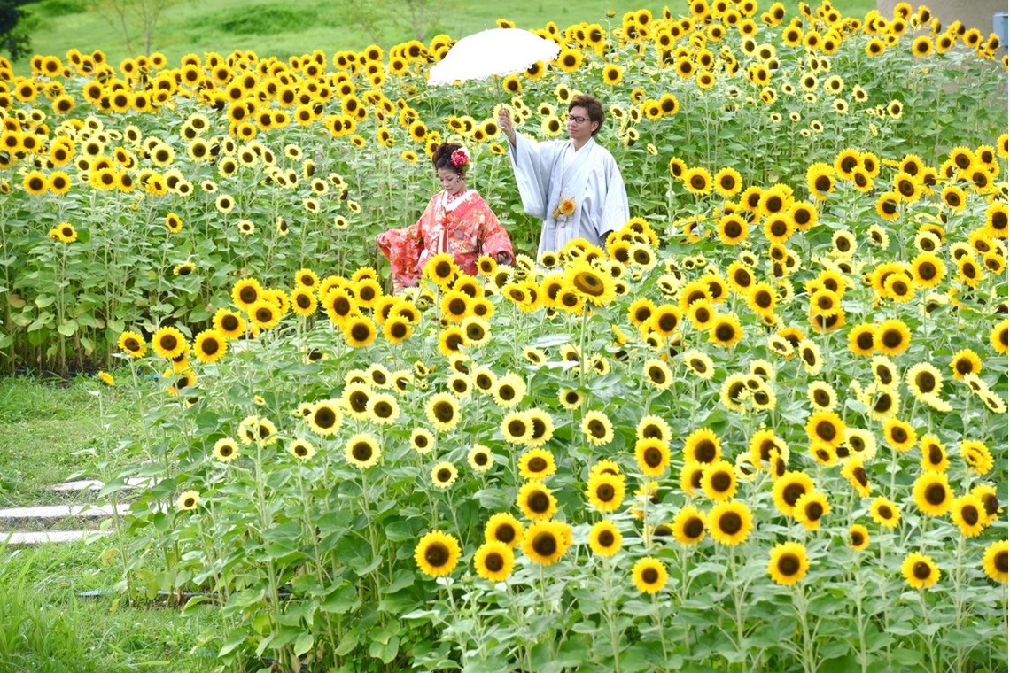 キキフォトワークスが撮影した「Pre Weddingphotoshoot at Nara with kimono in spring to summer」の写真