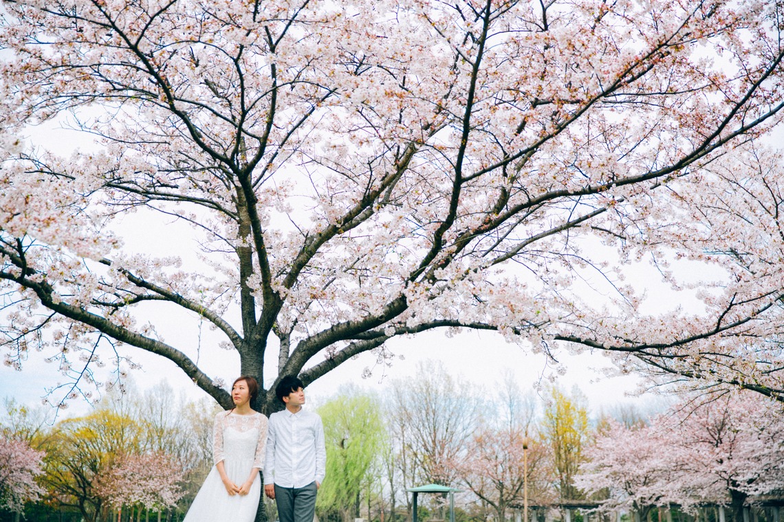 t_picturesが撮影した「ロケーションフォト」の写真