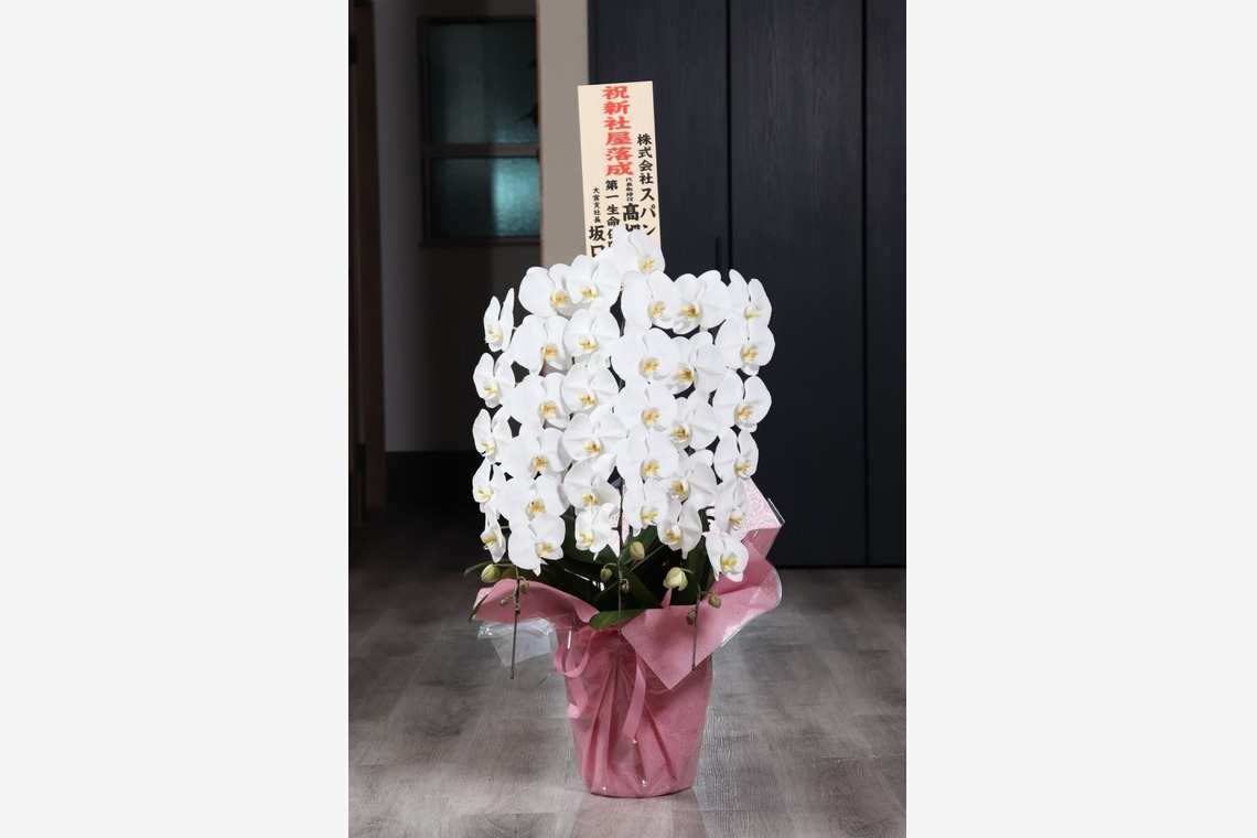 Tory Photo Graphicが撮影した「HP用写真撮影」の写真