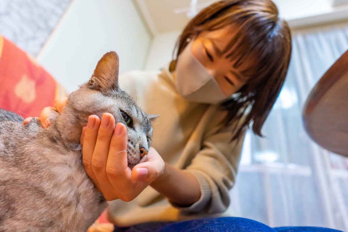 フォトグラフ山王