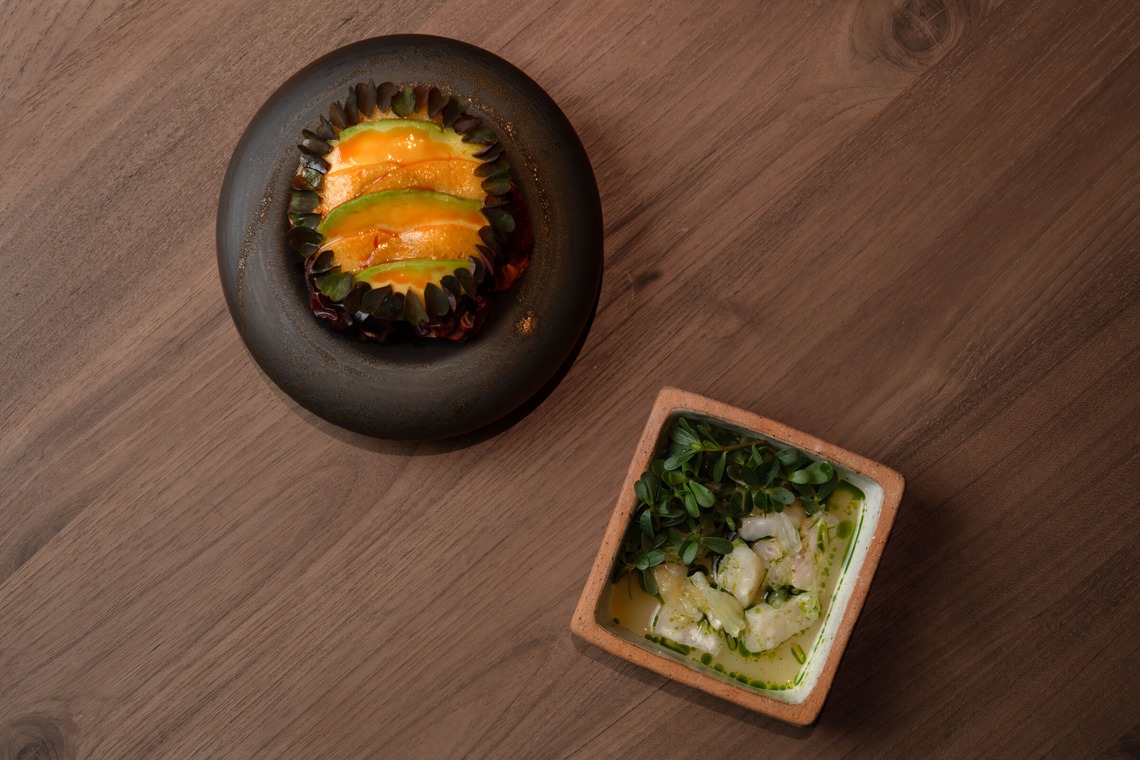 田中愛実が撮影した写真のアルバム「milpa」