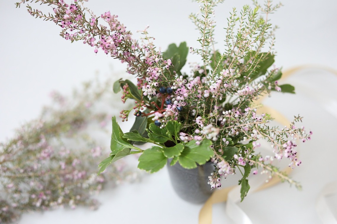 Natsukiが撮影した「花撮影＠自宅」の写真