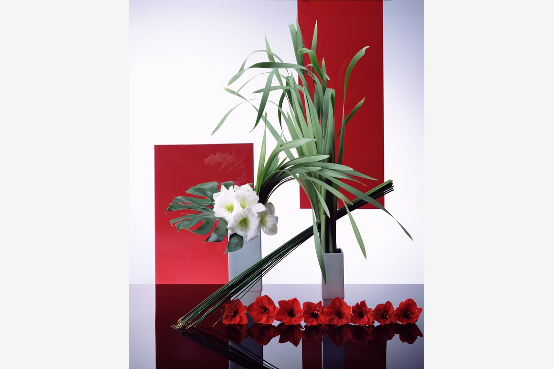 株式会社スタジオカールが撮影した写真のアルバム「商品撮影　写真撮影」