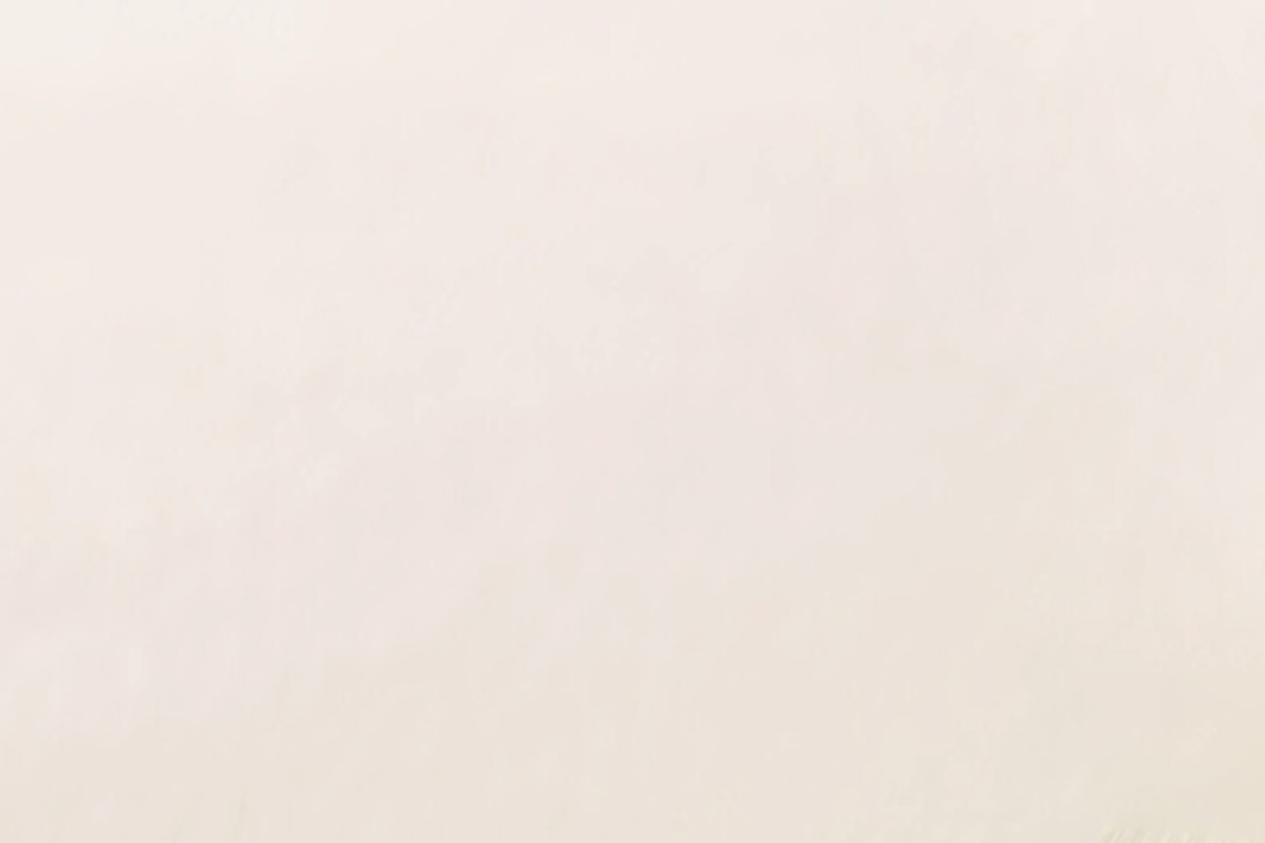 kiharu&photoが撮影した写真のアルバム「料理撮影【合成】」