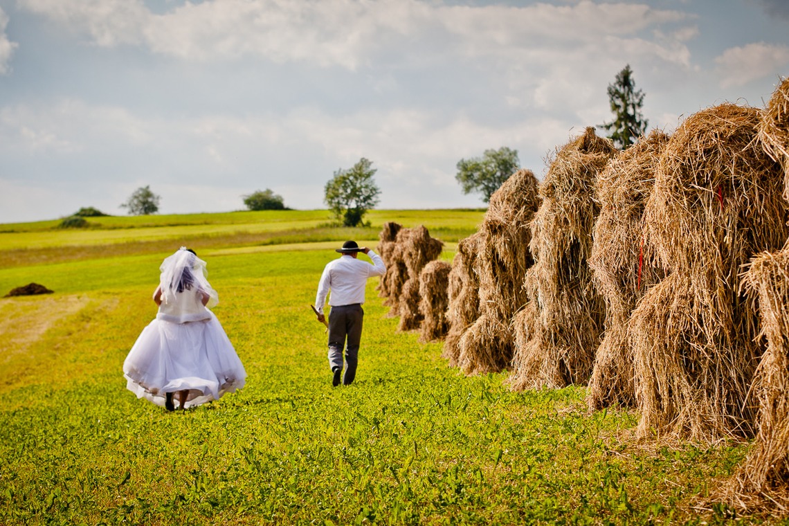 Wedding Photography Dubaiが撮影した「ドバイで???カメ」の写真