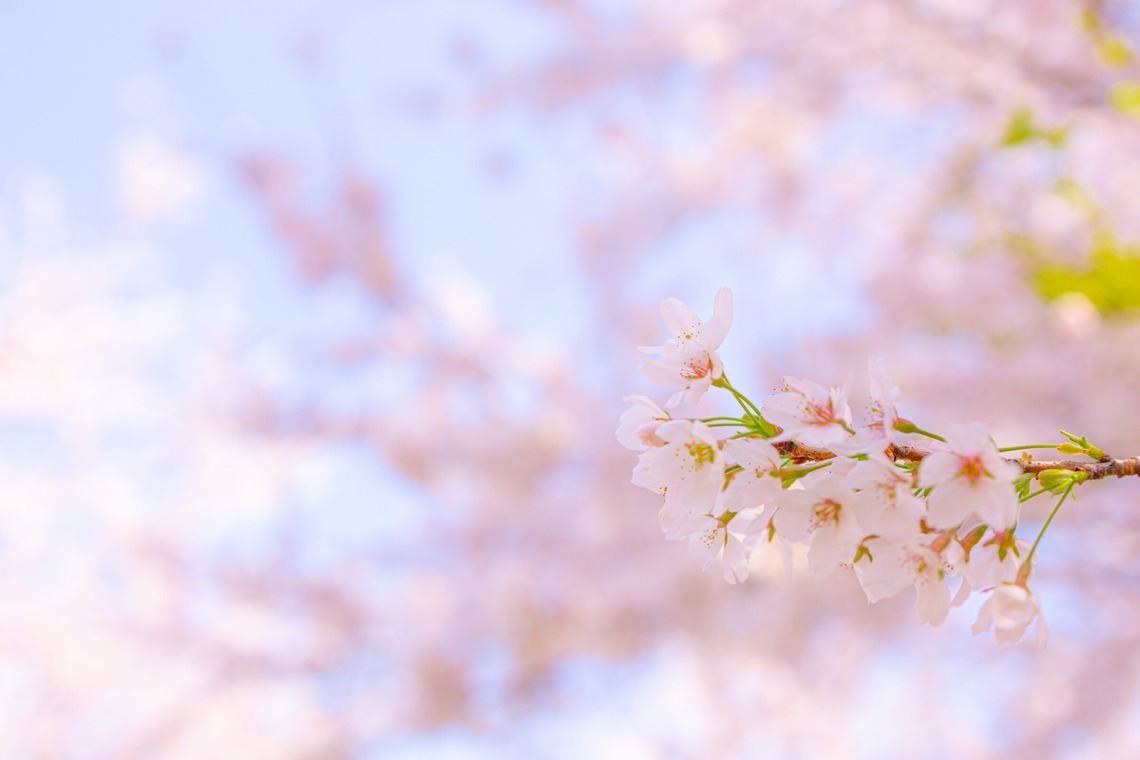 長竹　進吾が撮影した「作例集」の写真