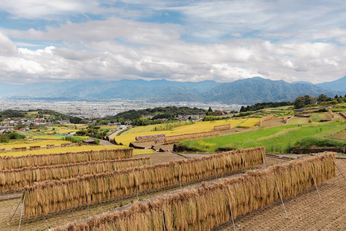 内藤駿介が撮影した写真のアルバム「風景」
