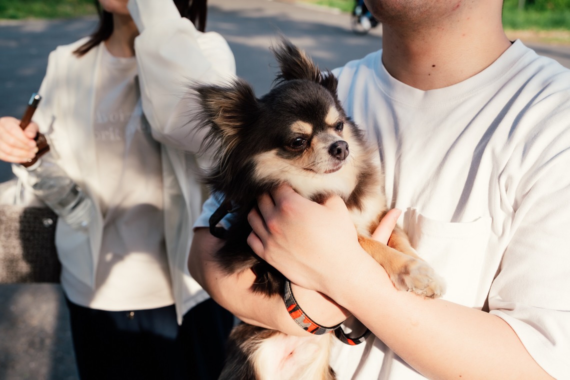 西村ユウトが出張撮影した家族写真(キッズ,ベビーフォト)などが写った「ペットとの家族写真」の家族写真